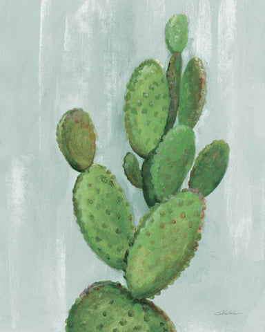 Front Yard Cactus I Slate White Modern Wood Framed Art Print with Double Matting by Vassileva, Silvia