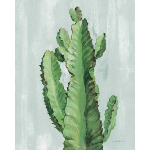 Front Yard Cactus II Slate White Modern Wood Framed Art Print by Vassileva, Silvia