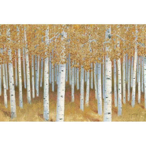 Forest of Gold White Modern Wood Framed Art Print by Wiens, James