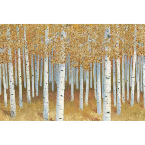 Forest of Gold Black Modern Wood Framed Art Print with Double Matting by Wiens, James