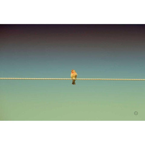 Waiting White Modern Wood Framed Art Print by Larson, Nathan