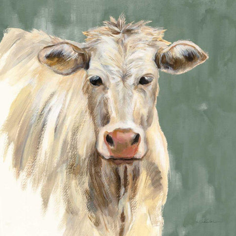 White Cow on Sage Black Modern Wood Framed Art Print with Double Matting by Vassileva, Silvia