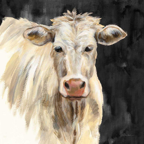 White Cow on Black Black Modern Wood Framed Art Print with Double Matting by Vassileva, Silvia