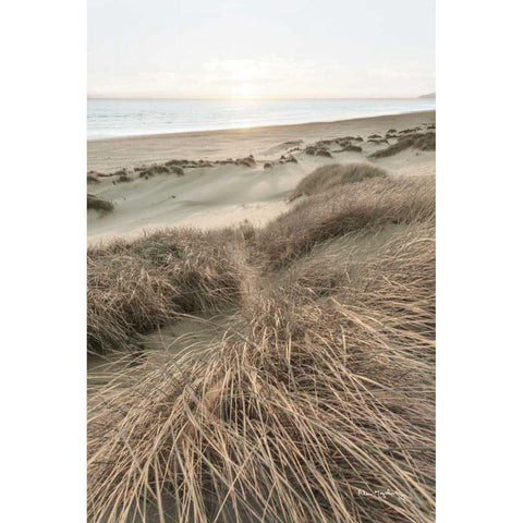 Beach Grasses Gold Ornate Wood Framed Art Print with Double Matting by Majchrowicz, Alan