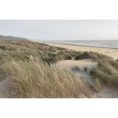 Oregon Dunes Black Modern Wood Framed Art Print with Double Matting by Majchrowicz, Alan