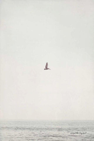 February Morning III White Modern Wood Framed Art Print with Double Matting by Urquhart, Elizabeth