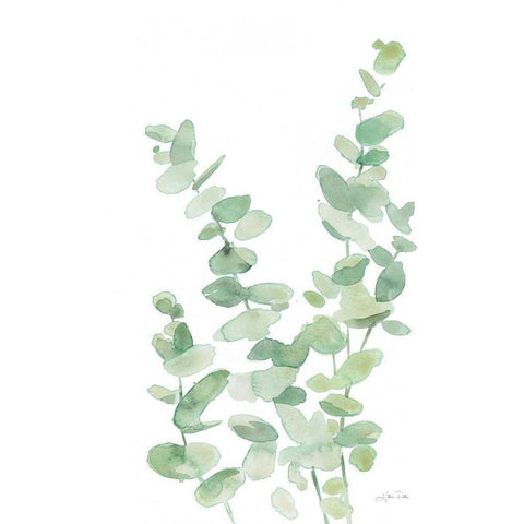 Eucalyptus II Black Modern Wood Framed Art Print with Double Matting by Pete, Katrina