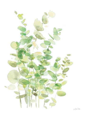 Eucalyptus III White Modern Wood Framed Art Print with Double Matting by Pete, Katrina