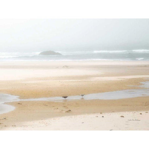 Cold Beach I Black Modern Wood Framed Art Print with Double Matting by Van Swearingen, Debra