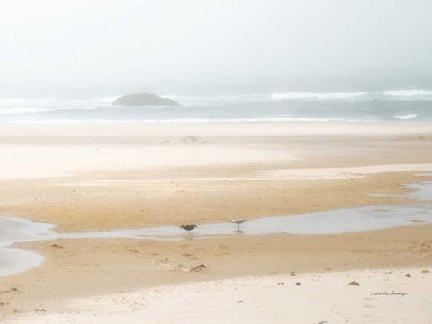 Cold Beach I White Modern Wood Framed Art Print with Double Matting by Van Swearingen, Debra