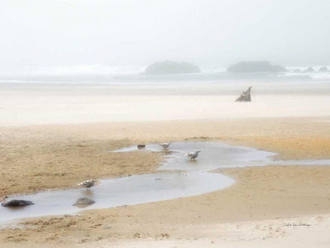 Cold Beach II Black Ornate Wood Framed Art Print with Double Matting by Van Swearingen, Debra