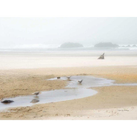 Cold Beach II Black Modern Wood Framed Art Print by Van Swearingen, Debra