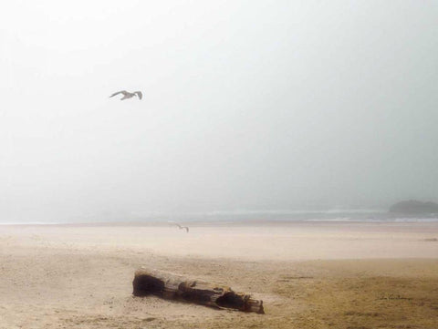 Cold Beach III White Modern Wood Framed Art Print with Double Matting by Van Swearingen, Debra