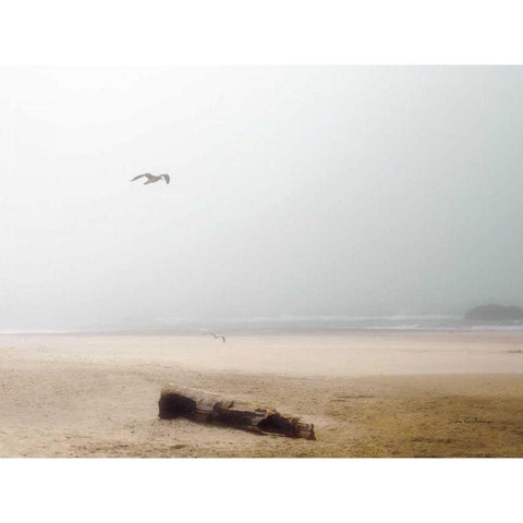 Cold Beach III Gold Ornate Wood Framed Art Print with Double Matting by Van Swearingen, Debra