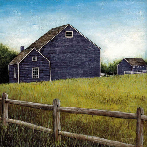 Weathered Barns Navy White Modern Wood Framed Art Print with Double Matting by Brown, David Carter