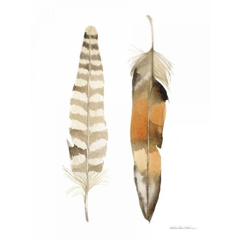 Natural Feathers II Gold Ornate Wood Framed Art Print with Double Matting by McKenna, Kathleen Parr