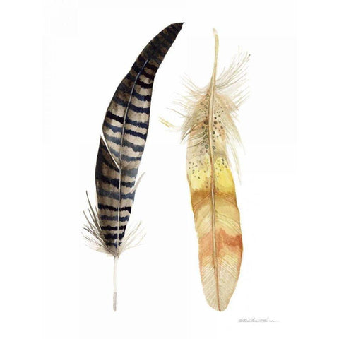 Natural Feathers III Gold Ornate Wood Framed Art Print with Double Matting by McKenna, Kathleen Parr