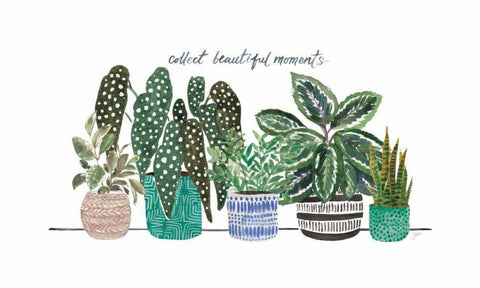 Happy House Plants II White Modern Wood Framed Art Print with Double Matting by Panganiban, Karyn