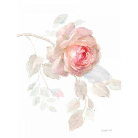 Gentle Rose I White Modern Wood Framed Art Print by Nai, Danhui