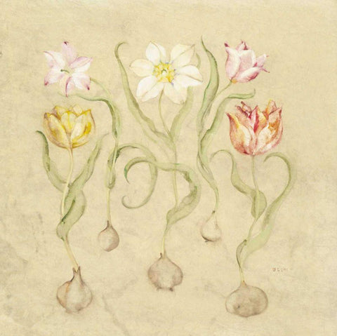 Dancing Bulbs I Black Ornate Wood Framed Art Print with Double Matting by Blum, Cheri