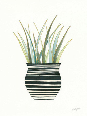 Herb Garden II White Modern Wood Framed Art Print with Double Matting by Prahl, Courtney