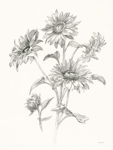 Farm Nostalgia Flowers I Dark Gray White Modern Wood Framed Art Print with Double Matting by Nai, Danhui