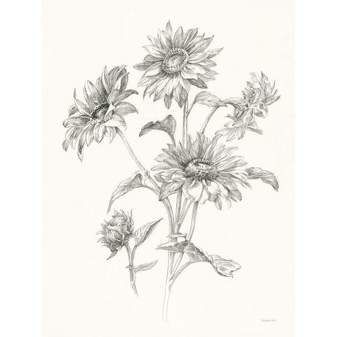 Farm Nostalgia Flowers I Dark Gray White Modern Wood Framed Art Print by Nai, Danhui