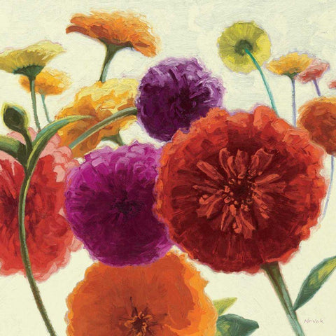 Pure Palette Zinnias White Modern Wood Framed Art Print by Novak, Shirley
