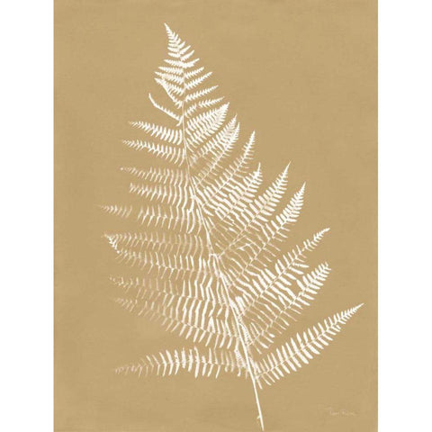 Nature by the Lake Ferns VI Brown White Modern Wood Framed Art Print by Rhue, Piper