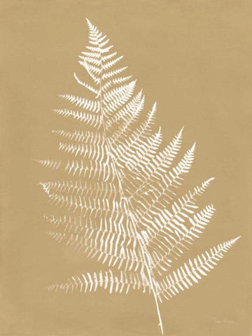 Nature by the Lake Ferns VI Brown Black Ornate Wood Framed Art Print with Double Matting by Rhue, Piper