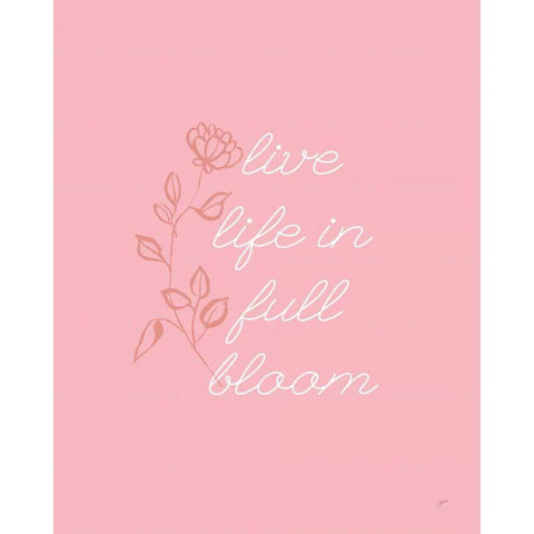 Full Bloom Black Modern Wood Framed Art Print with Double Matting by Panganiban, Karyn