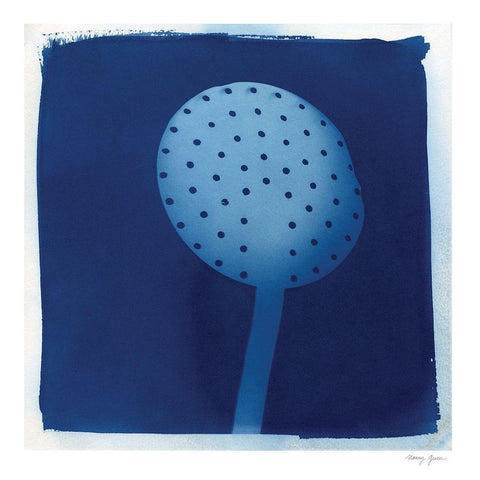 Cyanotype Kitchen XIV White Modern Wood Framed Art Print with Double Matting by Green, Nancy