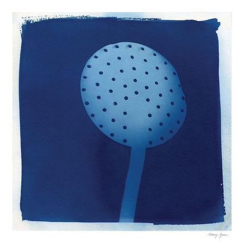 Cyanotype Kitchen XIV Black Modern Wood Framed Art Print by Green, Nancy