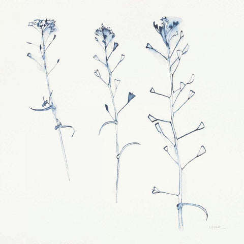 Shepherds Purse Stems I Blue White Modern Wood Framed Art Print by Novak, Shirley