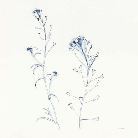Shepherds Purse Stems II Blue Gold Ornate Wood Framed Art Print with Double Matting by Novak, Shirley
