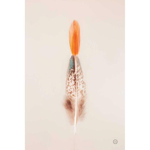 Floating Feathers I White Modern Wood Framed Art Print by Larson, Nathan