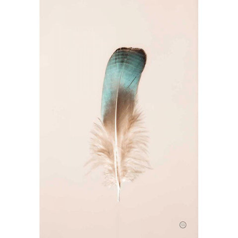 Floating Feathers IV White Modern Wood Framed Art Print by Larson, Nathan