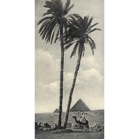 Cairo IV Crop Black Modern Wood Framed Art Print by Wild Apple Portfolio