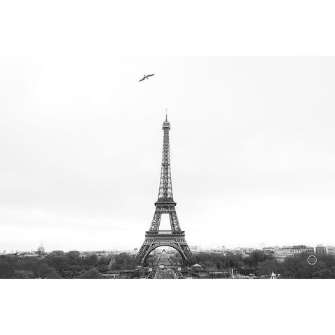 A Birds View of Paris Crop I Black Modern Wood Framed Art Print by Larson, Nathan