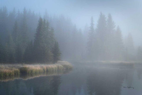 Grand Teton Lake Fog Black Ornate Wood Framed Art Print with Double Matting by Majchrowicz, Alan