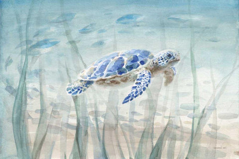 Undersea Turtle White Modern Wood Framed Art Print with Double Matting by Nai, Danhui