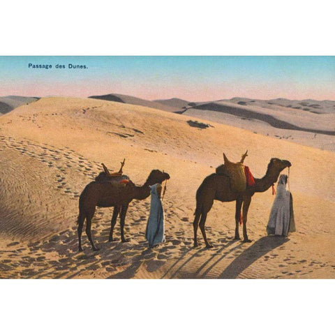 Desert Crossing Black Modern Wood Framed Art Print with Double Matting by Wild Apple Portfolio