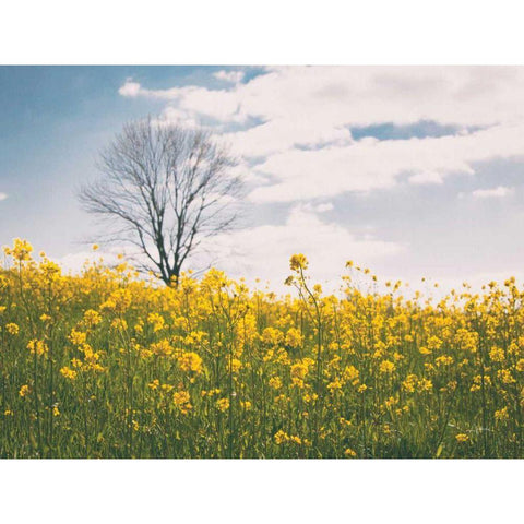 Spring Meadow Gold Ornate Wood Framed Art Print with Double Matting by Aledanda