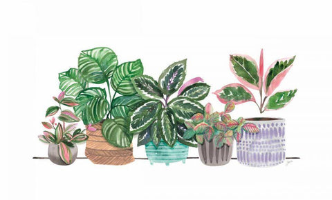 Happy House Plants I No Words White Modern Wood Framed Art Print with Double Matting by Panganiban, Karyn