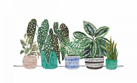 Happy House Plants II No Words White Modern Wood Framed Art Print with Double Matting by Panganiban, Karyn