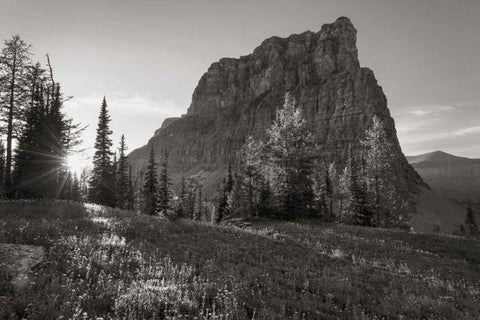 Boulder Pass Glacier National Park BW White Modern Wood Framed Art Print with Double Matting by Majchrowicz, Alan