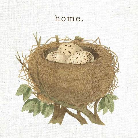 Spring Nest II Home White Modern Wood Framed Art Print with Double Matting by Hershey, Moira