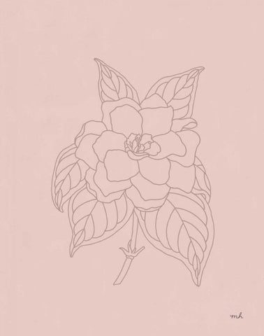 Gardenia Line Drawing Pink Black Ornate Wood Framed Art Print with Double Matting by Hershey, Moira