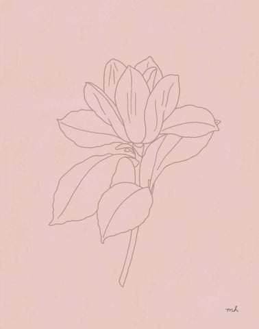 Magnolia Line Drawing Pink White Modern Wood Framed Art Print with Double Matting by Hershey, Moira