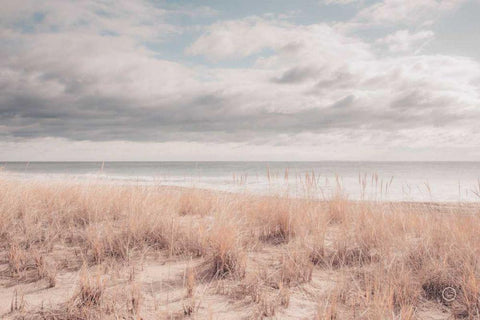 Soft Oceans Black Ornate Wood Framed Art Print with Double Matting by Larson, Nathan